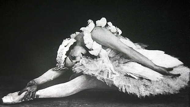 День рождения "Умирающего лебедя"