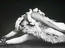 День рождения "Умирающего лебедя"