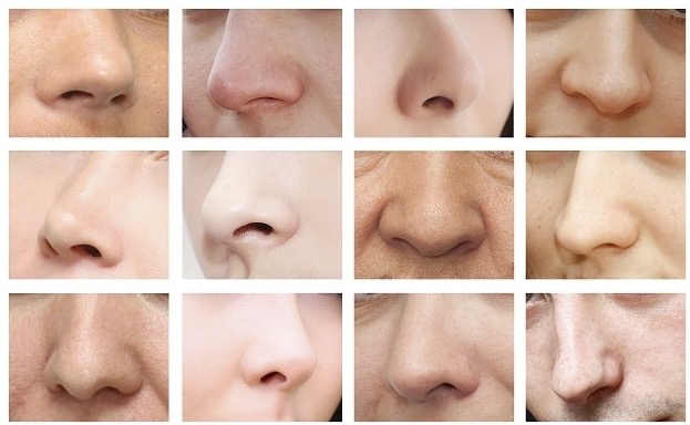 Ученые считают, что на форму носа влияет климат - Рамблер/новости