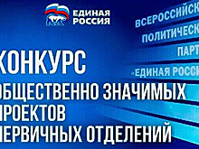 Конкурс общественно значимых проектов первичных отделений «Единой России» стартовал в Подмосковье