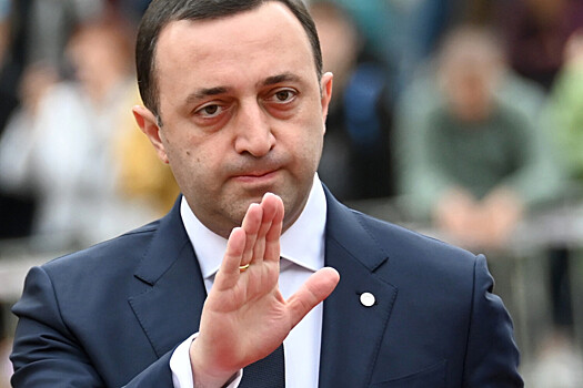 Гарибашвили возглавил «Грузинскую мечту»