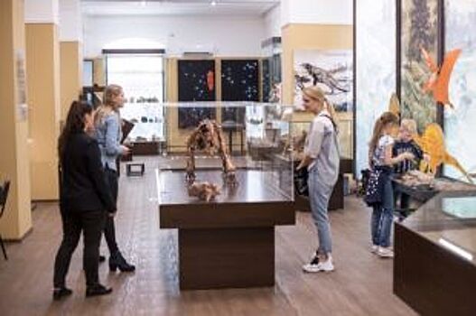 Кузбасский краеведческий музей станет главным музеем региона