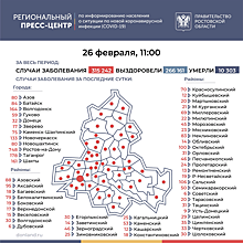 Новые случаи COVID-19 зарегистрировали в каждом районе и городе Ростовской области