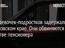 Двух девочек-подростков задержали в Хабаровском крае. Они обвиняются в убийстве пенсионера