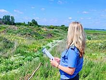 В Курском районе собственника оштрафовали за неиспользование сельхозземли