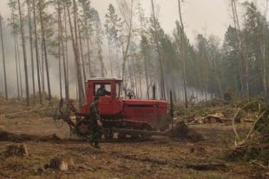 Два лесных пожара потушили за сутки в Иркутской области