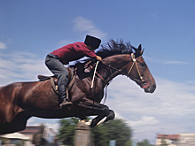 Джигит на лошади затоптал девушку в Москве