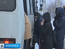 В Воронеже 12-летняя девочка сломала ногу, выпав из маршрутки