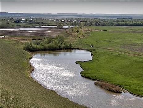 Роспотребнадзор: кладбище на въезде в село Кривое Озеро располагать нельзя