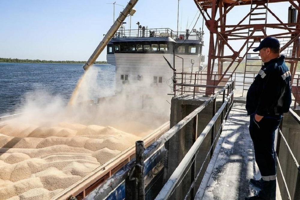 На прошлой неделе в РФ резко выросли экспортные цены на зерно— обзор