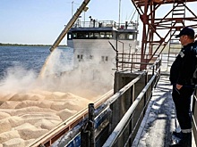 В России c 10 апреля снизятся экспортные пошлины на большинство зерновых