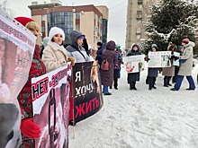На митинг против закона об эвтаназии бездомных животных вышли сто новосибирцев
