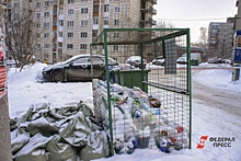 Коммунальная авария в Новосибирске стала причиной мусорного коллапса