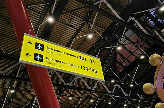 Авиаперелеты станут доступнее для людей с инвалидностью