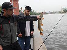 Какую рыбу можно поймать в водоемах Москвы