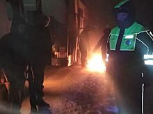 В Рязанской области сотрудники Госавтоинспекции оказали помощь водителям и пассажирам сломавшегося в пути автобуса