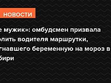 «Не мужик»: омбудсмен призвала уволить водителя маршрутки, выгнавшего беременную на мороз в Сибири