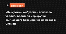 «Не мужик»: омбудсмен призвала уволить водителя маршрутки, выгнавшего беременную на мороз в Сибири