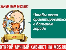 Mos.ru: твой персональный детектив