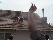 Свидетельница на свадьбе закидала гостей черепицей