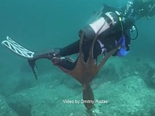 Во Владивостоке в результате удара легковушки внедорожник откинуло на другой джип