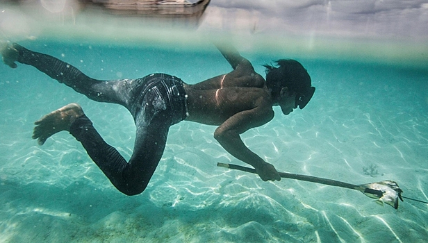 Ген для жизни под водой: учёные объяснили суперспособности "морских цыган"