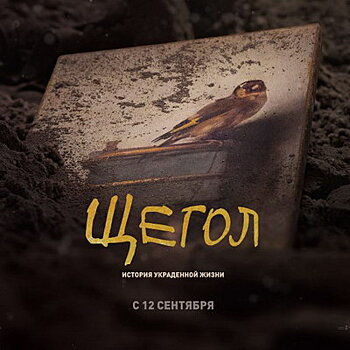 Рецензия на фильм «Щегол»: Everything In It's Right Place