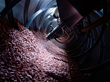 Экспортные продажи «Биннофарм Групп» выросли на 17%