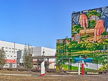 Художники расписали стены фабрики