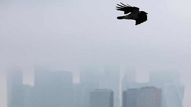 Туман с видимостью до 200–700 метров опустится на столицу