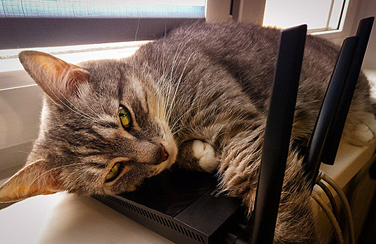 Домашний интернет станет дороже