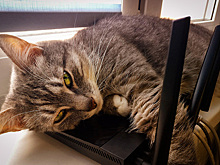 Домашний интернет станет дороже