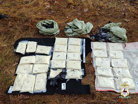 В Нижегородской области полиция изъяла более 185 кг наркотиков и сырья для их изготовления