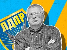Либерал-демократов могут переименовать в «ЛДПР — Жириновский»