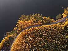 Лучшим фото сентября читатели E1.RU признали снимок золотой осени с высоты птичьего полета