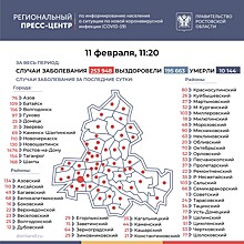 К 1500 приблизилось суточное количество зараженных коронавирусом в Ростове