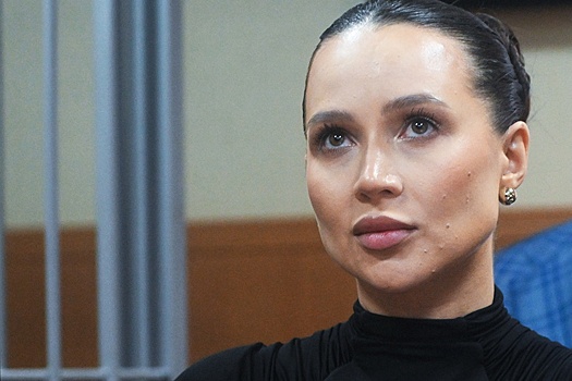 Лерчек с бывшим мужем не признали вину в незаконном выводе денег за рубеж