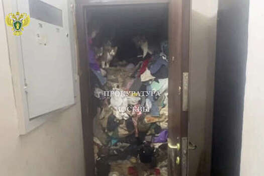 В Москве женщина с девятью кошками жила в квартире на горе мусора