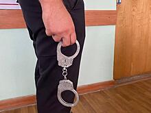 Ранее судимый 19-летний курянин подозревается в попытке грабежа