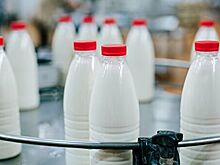 Названы сроки начала маркировки молочной продукции