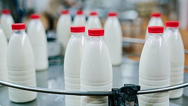 Названы сроки начала маркировки молочной продукции