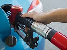 Правительство поручило довести продажи бензина на бирже до 12%
