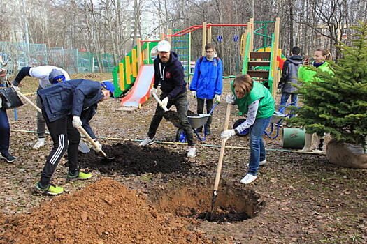 Студенты столичных университетов высадили более 30 деревьев в Ясенево