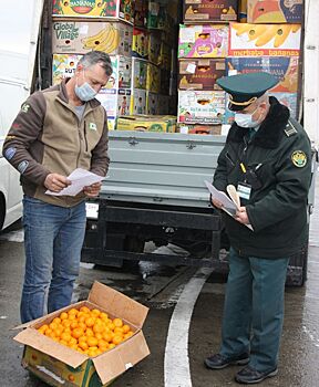 В Россию начали ввозить абхазские мандарины и фейхоа