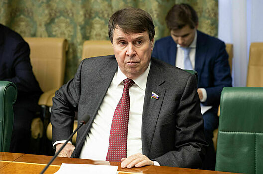 Сенатор Цеков рассказал, что может поднять авторитет МУС