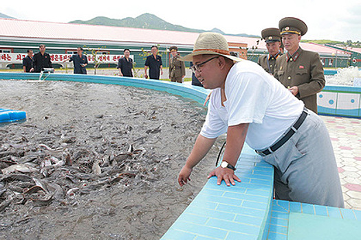 Ким Чен Ын посмотрел на сомов на «невиданной ферме»