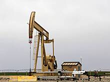 В Британии сообщили о дилемме Индии из-за российской нефти