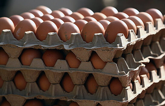 Зараженные токсином яйца "расползлись" по всей Европе