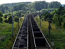 В Хакасии попросили Путина помочь с вывозом угля