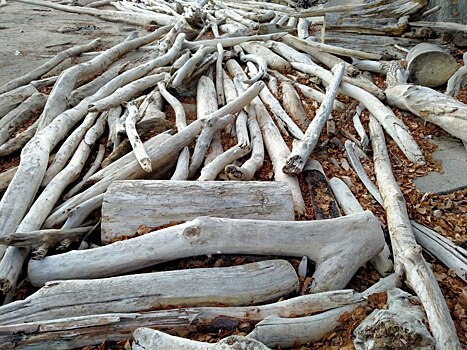 Владельцев лодок в Новосибирске предупредили о пропуске топляка через ГЭС